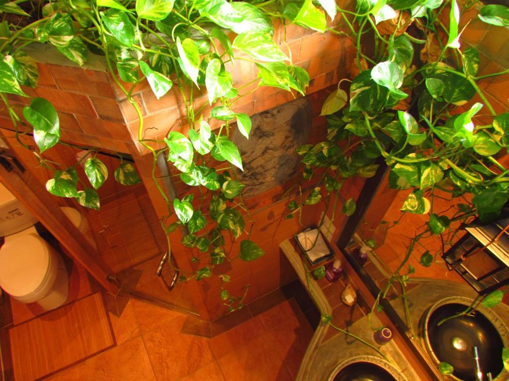 Santitham Guest House Chiang Mai Bagian luar foto