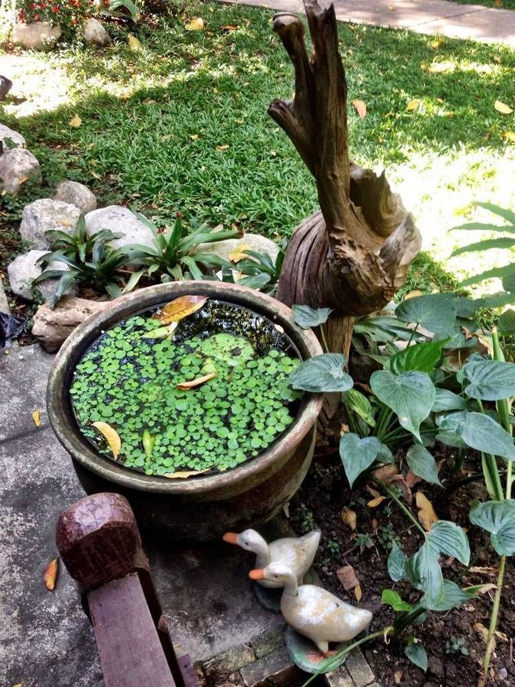 Santitham Guest House Chiang Mai Bagian luar foto