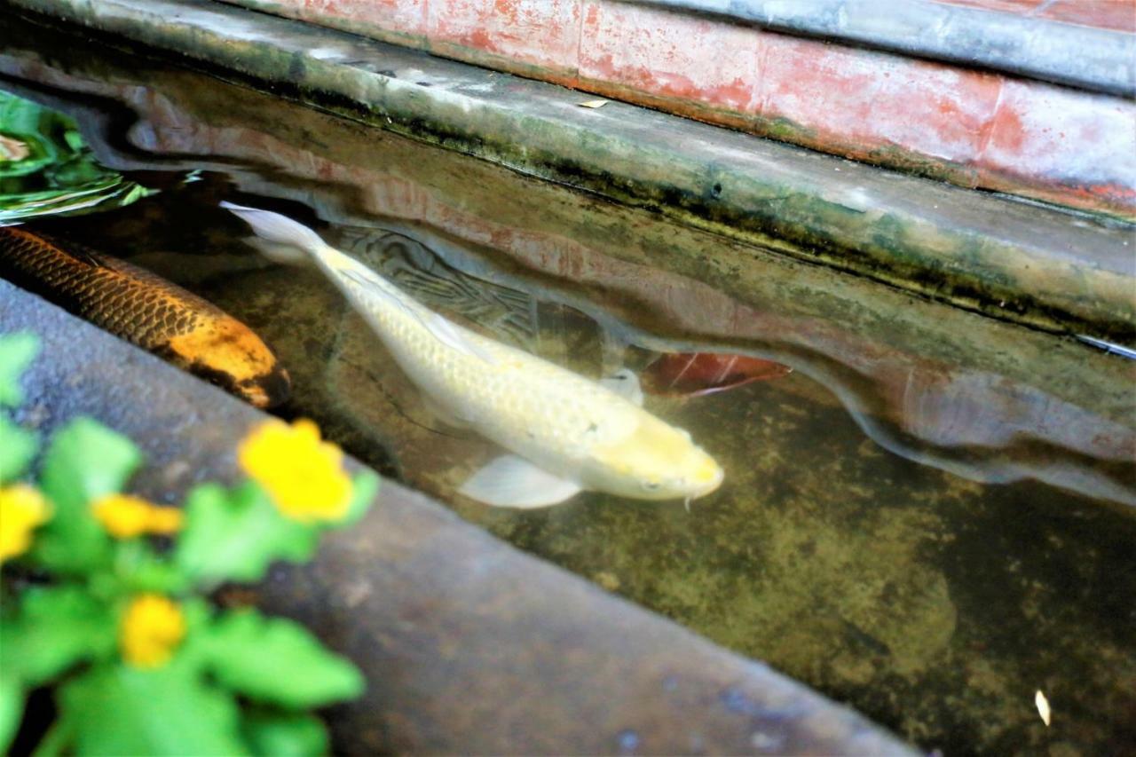 Santitham Guest House Chiang Mai Bagian luar foto